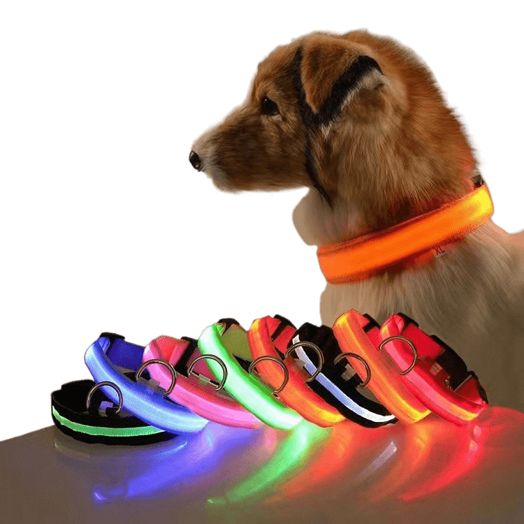 New LED Dog Collar displayed on a dog with multiple colorful LED collars in the foreground.