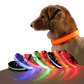 New LED Dog Collar displayed on a dog with multiple colorful LED collars in the foreground.