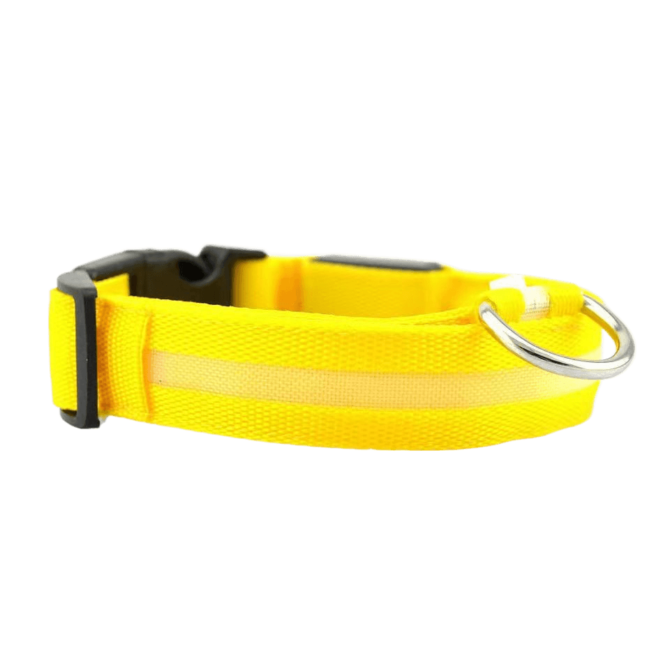 New LED Dog Collar in bright yellow with reflective strip for safety during night walks.