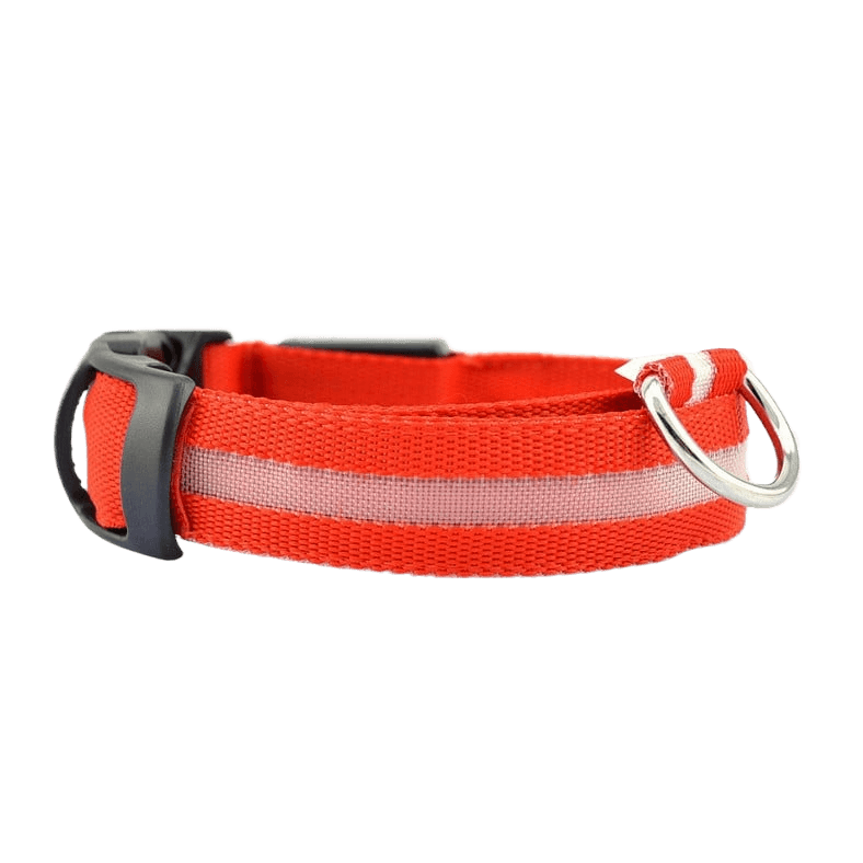 New LED Dog Collar in bright red color with reflective strip for safety during nighttime walks.
