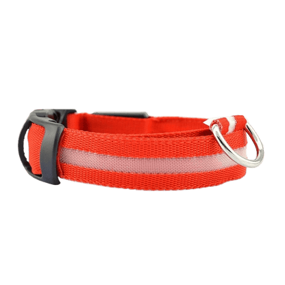 New LED Dog Collar in bright red color with reflective strip for better visibility.