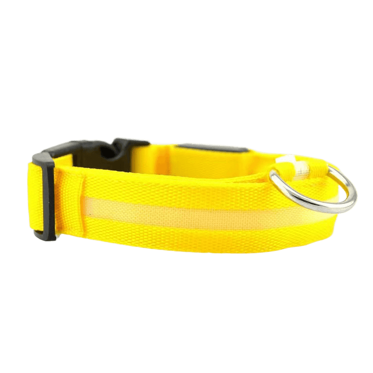 New LED Dog Collar in bright yellow with reflective strip for safety and visibility during walks.