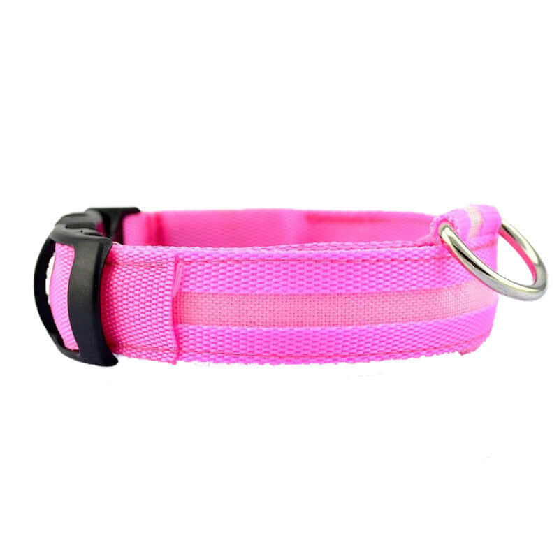 New LED Dog Collar in vibrant pink color, featuring a durable strap and metal D-ring for leash attachment.