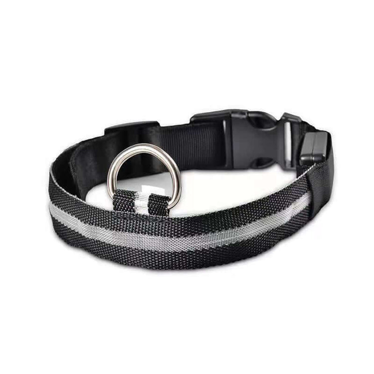 New LED Dog Collar with reflective stripes for added visibility and safety during nighttime walks.