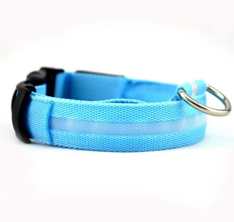 New LED Dog Collar in blue fabric with reflective strip and adjustable buckle, perfect for night walks.