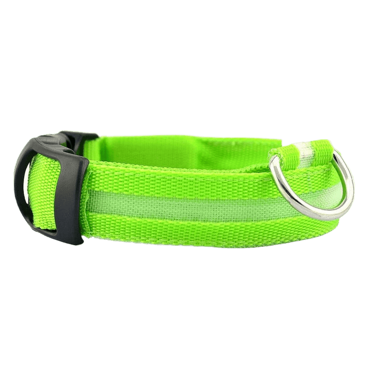 New LED Dog Collar in vibrant green, featuring reflective strips for enhanced nighttime visibility.