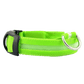 New LED Dog Collar in vibrant green, featuring reflective strips for enhanced nighttime visibility.