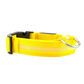 New LED Dog Collar in bright yellow with reflective strip and sturdy D-ring for leash attachment.