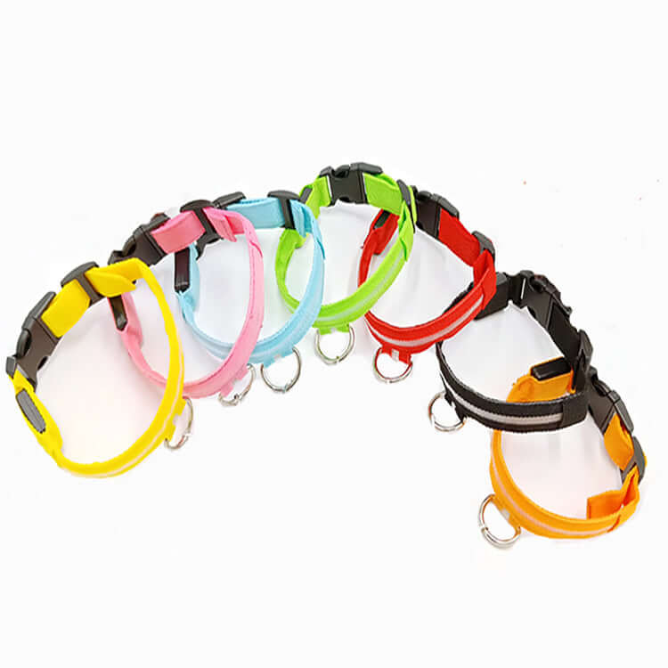 New LED Dog Collar in various bright colors including pink, blue, green, yellow, red, and orange.